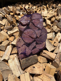 Net of Softwood Logs