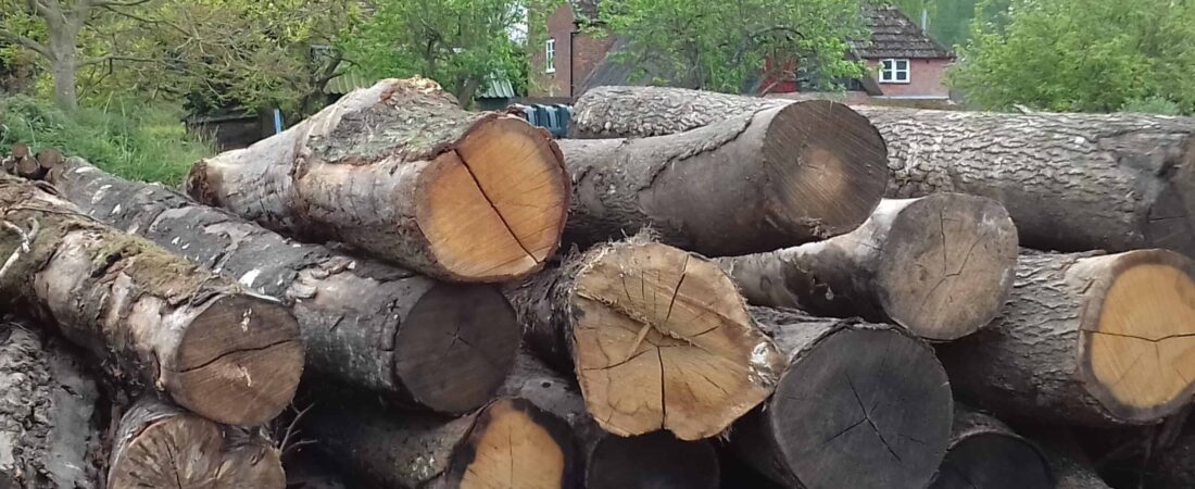 woodshed logs